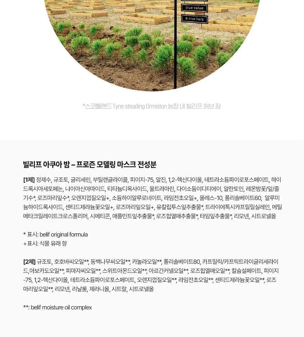 [쿨링냉찜질팩] NEW 빌리프 아쿠아 밤 프로즌 모델링 마스크 4SET(+스파츌라+믹싱볼)/1SET 옵션 택 1 상세페이지 25